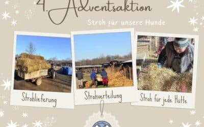 🎄✨ 4. Advent – Gemeinsam Wärme schenken ✨🎄