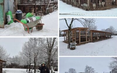 Der Winter hat Bucov fest im Griff ❄️