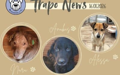 Glückstransport vom 16.01. 2026✨🚐