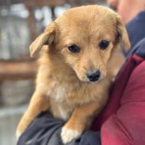 FRIDA (♀) - auf PS im PLZ Bereich 15 (NU)