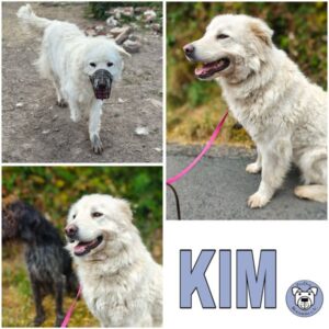 KIM (♀) in 99636 Ostramondra