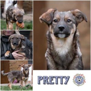 PRETTY (♀) in 52372 Kreuzau