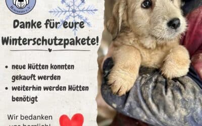 Neue Hundehütten – DANKE von Herzen! ✨🐾❄️