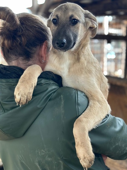 DIDI (♂) – Bild 2