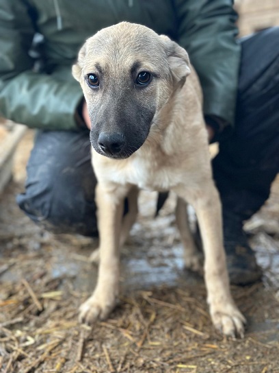 DIDI (♂) – Bild 5