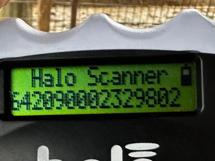 DIDI (♂) – Bild 6