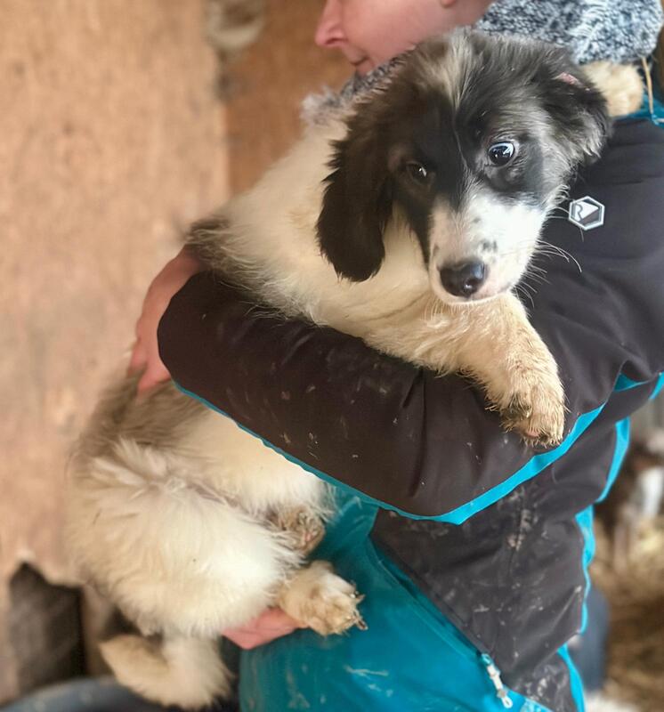 LINNEA (♀) – Bild 4