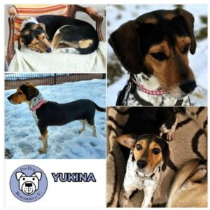 YUKINA (♀) in 61276 Weilrod