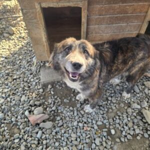 FRIDA (♀) reserviert THL 03.03.26