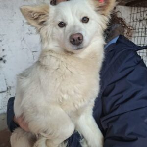 KATNISS (♀) reserviert THL (03.03.)