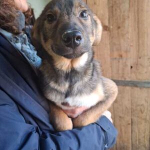 POUCH (♂) reserviert THL (15.03)