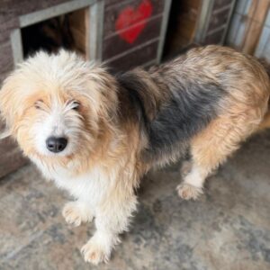 ARIEL (♀) - reserviert (AL 07.04.)