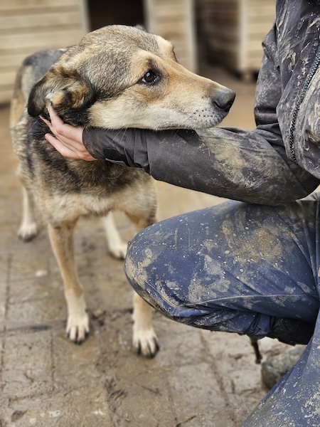 NOELA (♀) – Bild 4