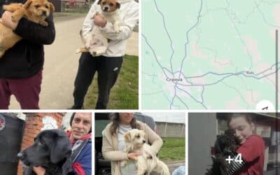 Kastrationsaktion in Susani am 03.04.2026 🐶✂️