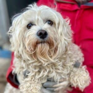 SUKI (♀) - auf PS im PLZ Bereich 55 (SD)