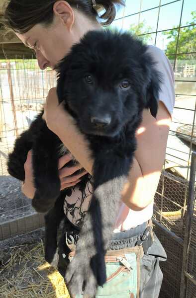 JASNA (♀) – Bild 3