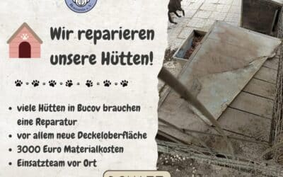 🔧🐾 Hütten retten Leben – bitte helft uns dabei! 🐾🔧