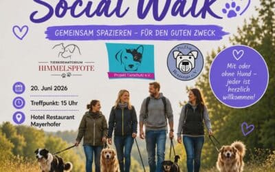 🐕 SOCIAL WALK – GEMEINSAM FÜR DEN GUTEN ZWECK 🐕