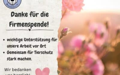 2.500€ Spende für PDR: Was für eine wunderbare Überraschung an diesem Tag! 🐶🌹