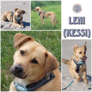 KESSI (♀) in 24327 Blekendorf