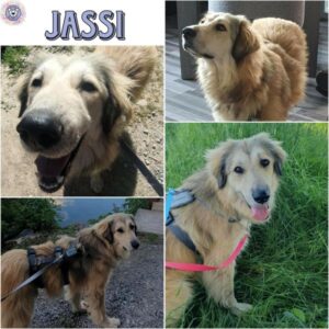 JASSI (♀) in 82223 Eichenau