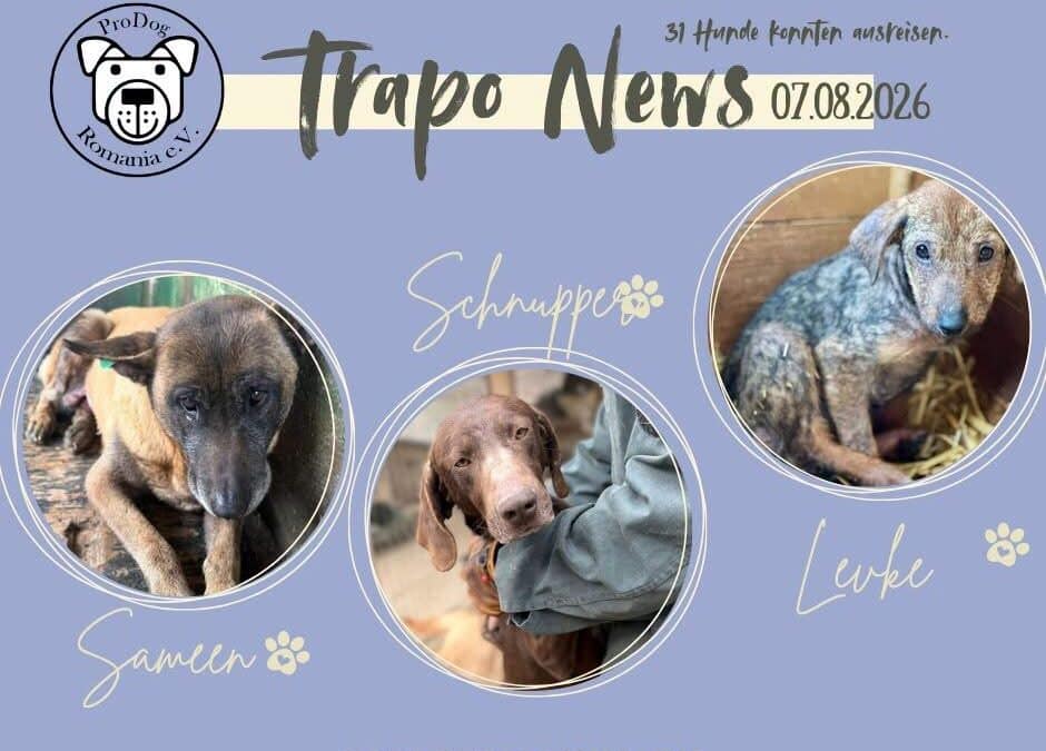 Transport am 07.08.2026 – wieder durften Hunde in ein neues Leben starten! 🐾🚐