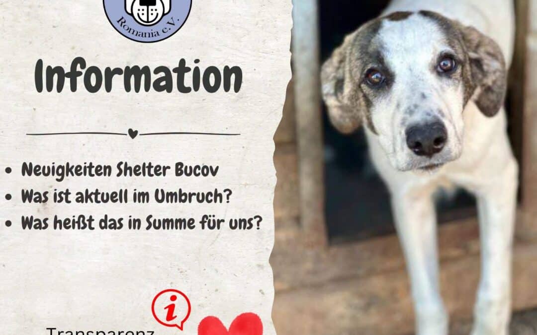 Aktuelle Informationen zum Shelter Bucov 🔊