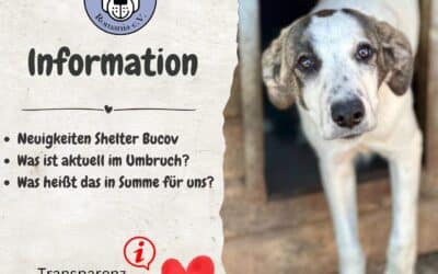 Aktuelle Informationen zum Shelter Bucov 🔊