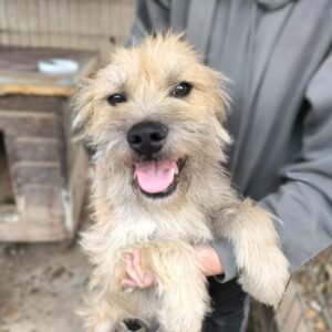JETTE (♀) Interessenten vorhanden - MD - 6.10.26
