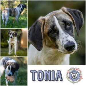 TONIA (♀) in 99427 Weimar