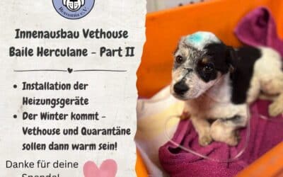 🏠❤️ Vethouse Baile – Teil 2 unseres Umbaus: Jetzt brauchen wir euch für die Technik!