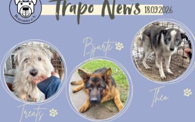 Wieder haben sich Shelter-Türen geöffnet … 🐾🚐