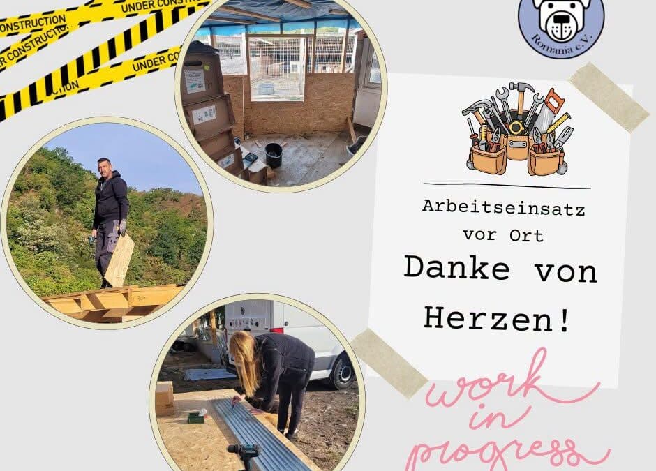 ❤️ DANKE, dass ihr angepackt habt! ❤️