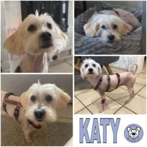KATY (♀) 46325 Borken
