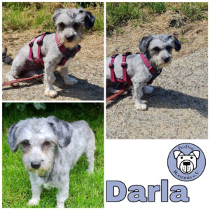 Darla in 97440 Werneck vermittelt Manuela (15/07)